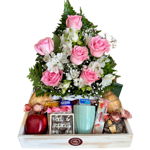 Bandeja Branca M (outra)